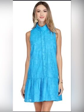 Joy Joy Embroidered Sleeveless Drop Waist Dress | Bright Blue | Size Small